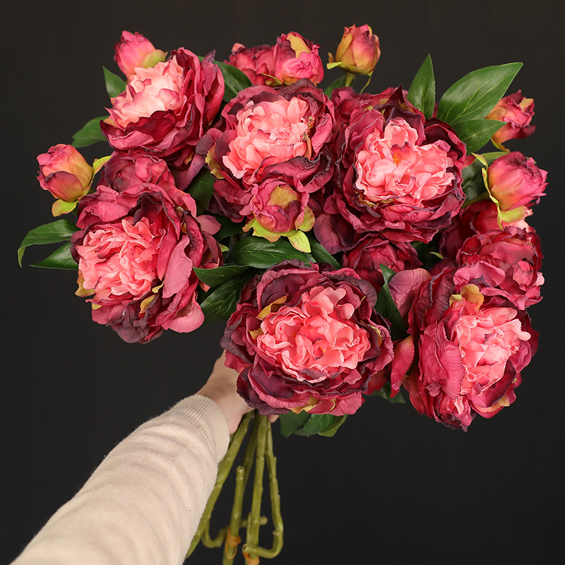 Photography Lighting Simulator Free - 1PC Retro 2 Head Peony Simulation