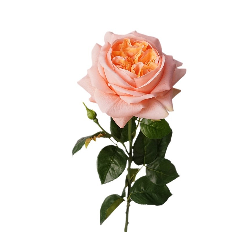 3pcs Moisturizing Rose Simulat - Photography Lighting Simulator Free 评论和价格