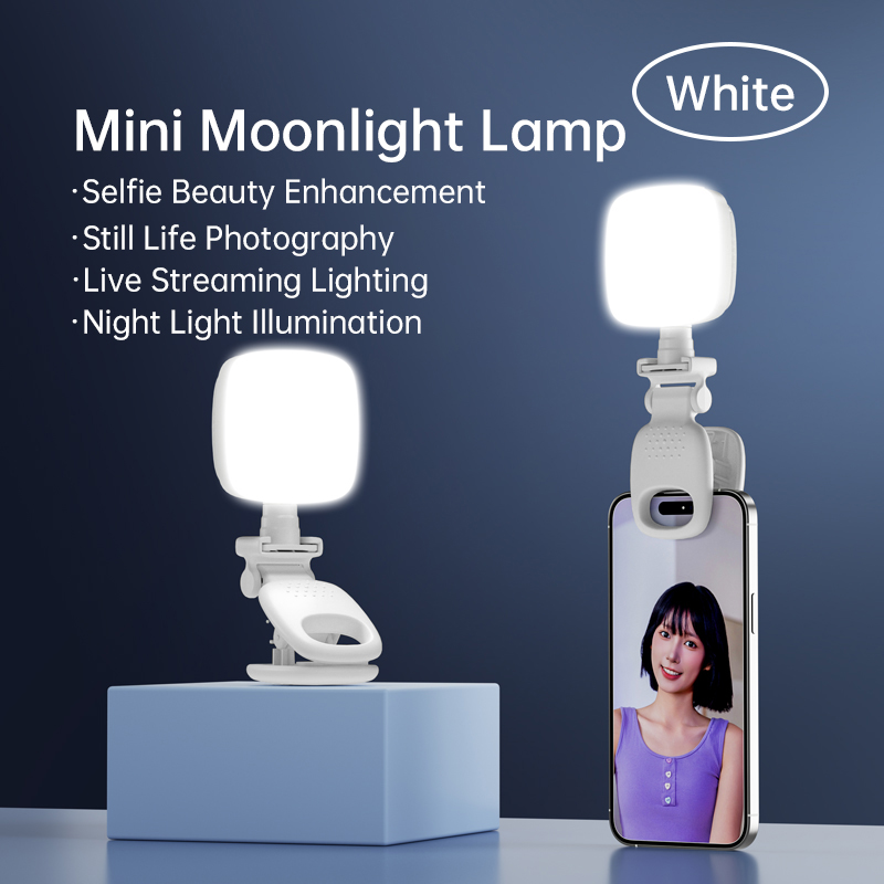 Portable LED Selfie Light Came - Photography Lighting Diagram 评论和价格