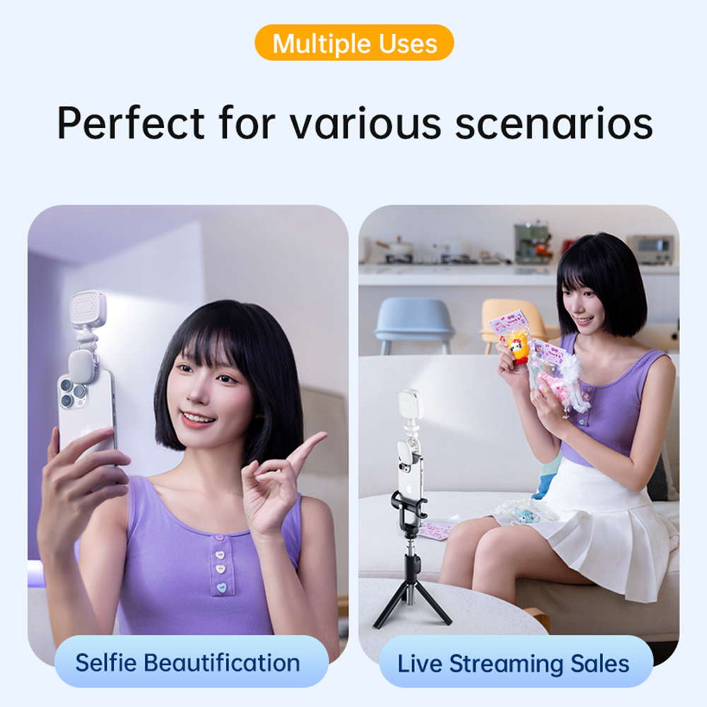 Portable LED Selfie Light Came - Photography Lighting Diagram 评论和价格