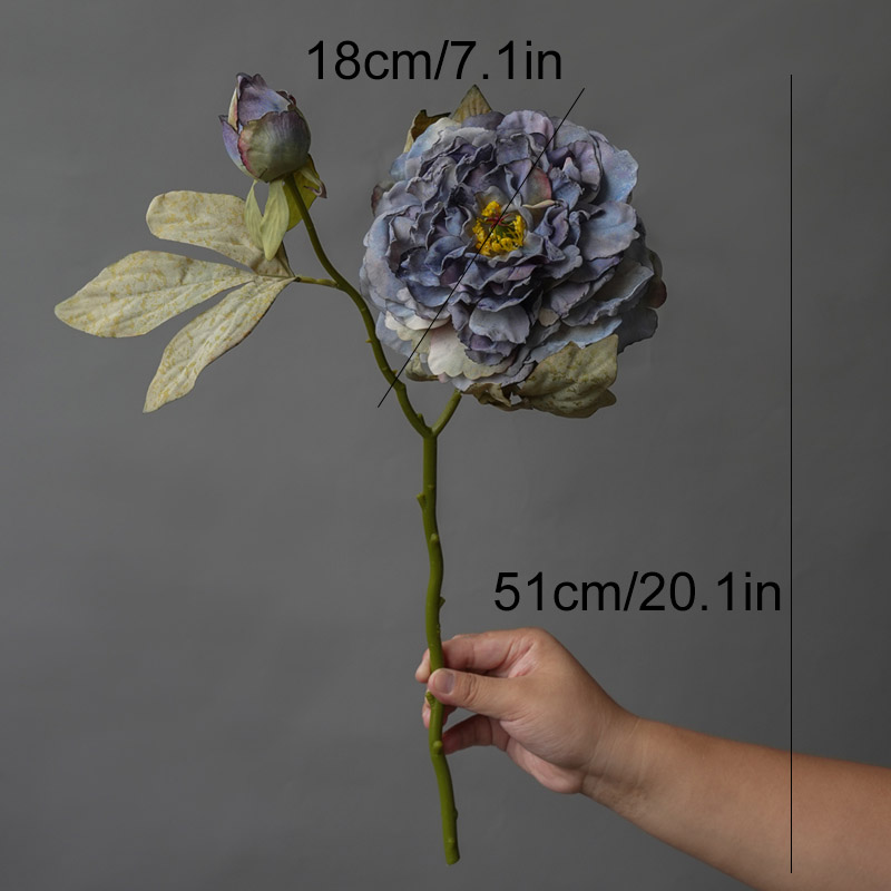 1PC Light Luxury 2 Head Big Pe - Photography Lighting Simulator Free 评论和价格