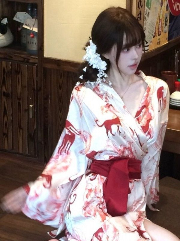 New Chinese Style Sleepwear Ha - Photography Lighting Style 评论和价格