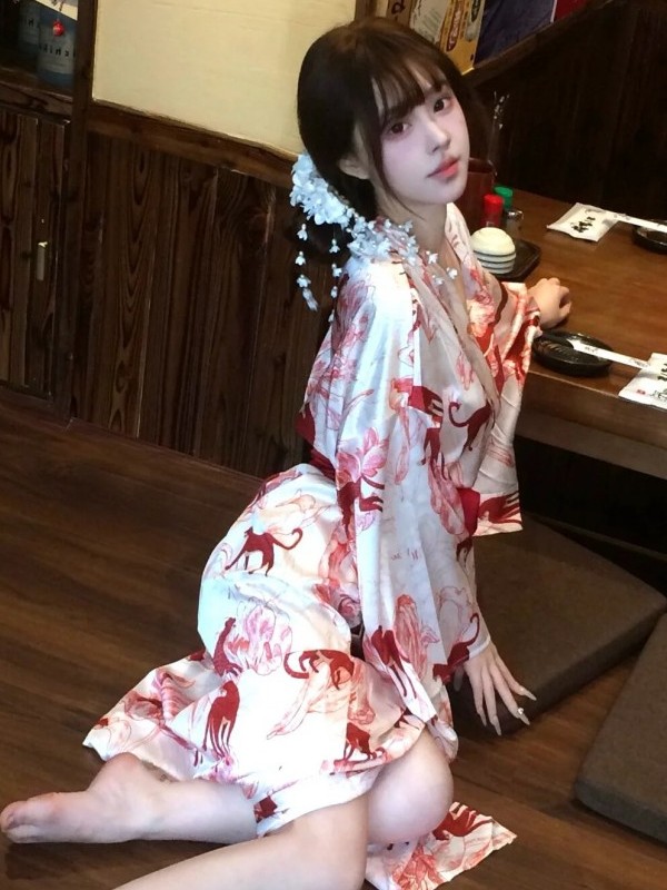 New Chinese Style Sleepwear Ha - Photography Lighting Style 评论和价格