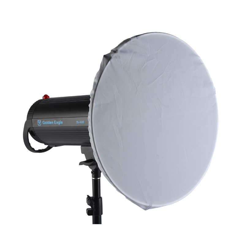 Honeycomb 42cm Beauty dish  Ho - Photography Lighting Beauty Dish 评论和价格