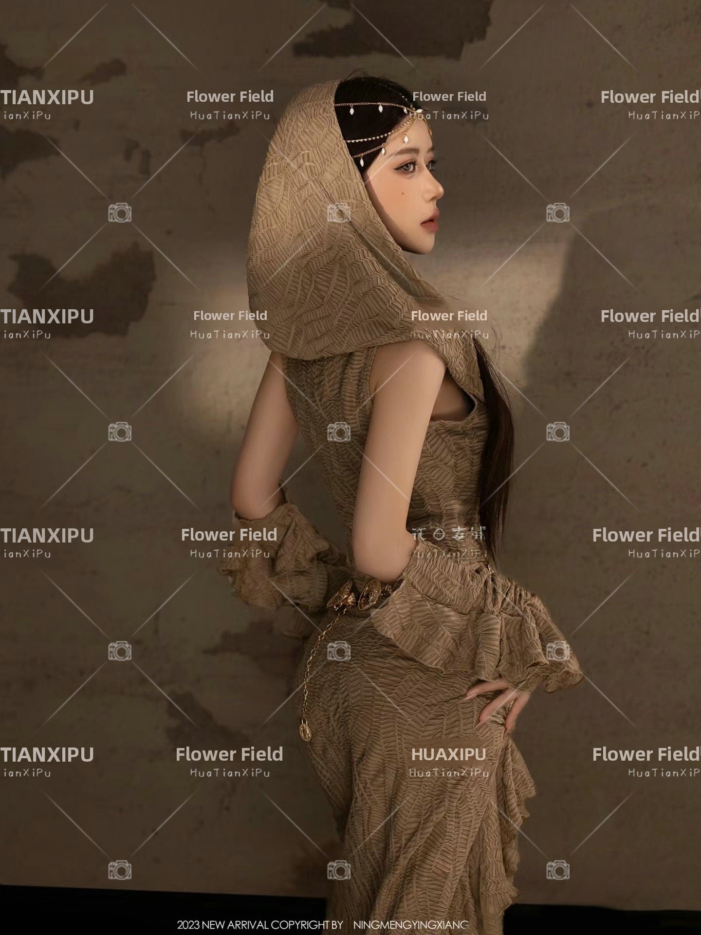 New Desert  Princess Style Pho - Photography Lighting Style 评论和价格