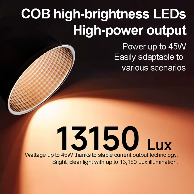 60W RGB Video Light Portable L - Photography Lighting And Background 评论和价格