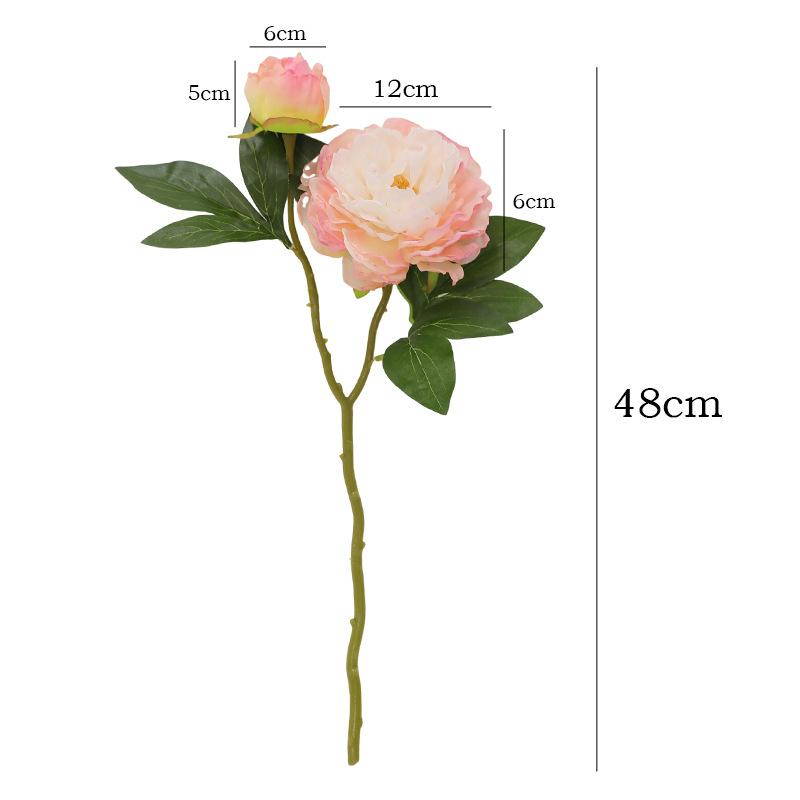 1PC Retro 2 Head Peony Simulat - Photography Lighting Simulator Free 评论和价格
