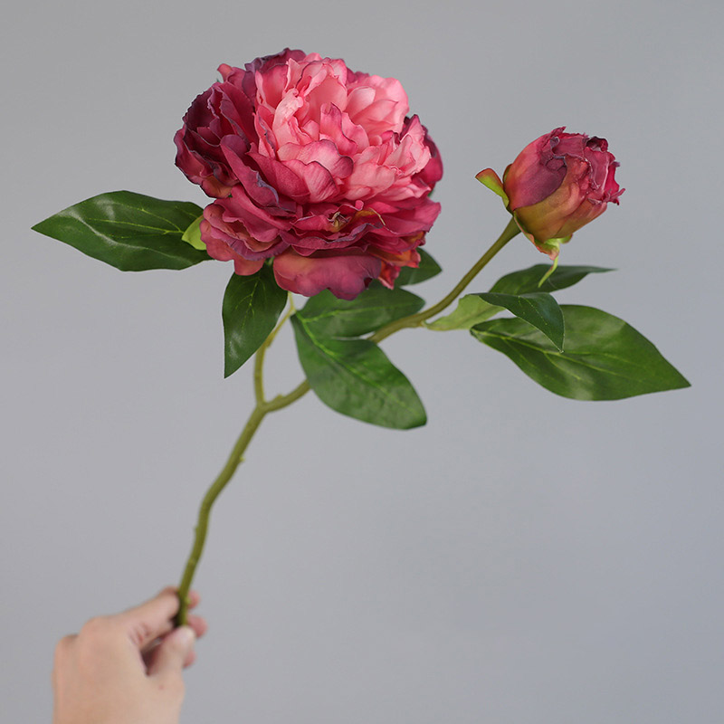 1PC Retro 2 Head Peony Simulat - Photography Lighting Simulator Free 评论和价格